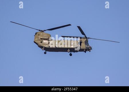 Royal Navy Boeing CH-47 Chinook Hubschrauber, patrouillierende Küste, Studland National Trust Stockfoto