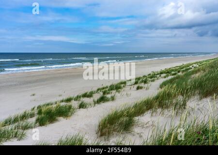 Eine Küste ohne Menschen. Eine einsame Küste bei schlechtem Wetter. Wind und Wellen an der Ostsee. Stockfoto