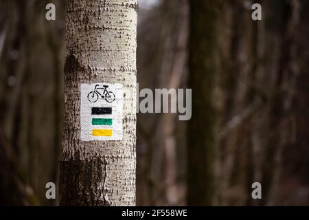 Markierungen für Fahrradwege auf einem Baum im Wald. Das Foto wurde an einem bewölkten Tag aufgenommen. Schlechte Lichtverhältnisse. Stockfoto