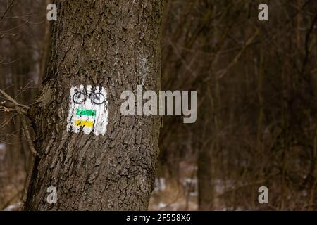 Markierungen für Fahrradwege auf einem Baum im Wald. Das Foto wurde an einem bewölkten Tag aufgenommen. Schlechte Lichtverhältnisse. Stockfoto