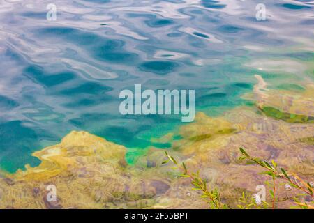 Bunte Unterwasserlandschaft mit türkisblauem und grünem Wasser im Nationalpark Plitvicer Seen Kroatien. Stockfoto