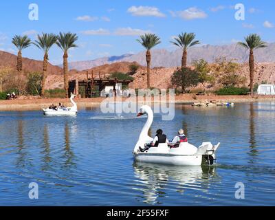 Timna-Tal, Israel - 20. Februar 2021: Familien fahren auf einem künstlichen See im Timna-Tal mit einem Schwanenboot. Die Arava-Wüste in Israel. Stockfoto