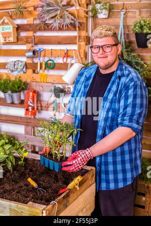 Ein junger Mann hält ein Tablett mit kleinen Tomaten auf seinem Tablett Stadtgarten Stockfoto