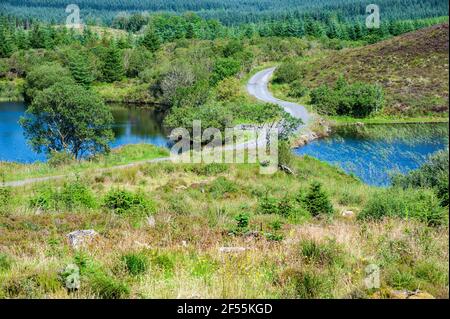 Loug Nabricboy und Meenagleragh Seen in Big Dog Forest, Co. Fermanagh, Nordirland Stockfoto