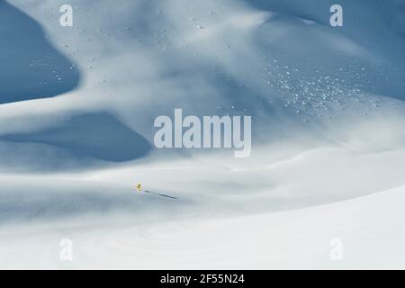 Ski-Schild auf schneebedeckten Berg, Lechtaler Alpen, Tirol, Österreich Stockfoto