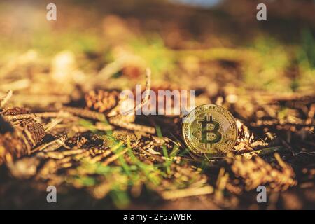 Nahaufnahme von Bitcoin auf dem Boden in einem Wald, natürlicher Hintergrund mit Kopierraum. Einzelne physische Metall Gold glänzend BTC Kryptowährung Münze im Freien mit Stockfoto