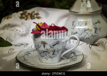 Splendid Kräutertee-Set bestehend aus einer Tasse und Zucker Schüssel auf einem alten bestickten Tischdecke platziert, in der Tasse Blumen, alle im Vintage-Ton Stockfoto