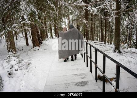 Das Paar war mit einer Decke bedeckt und ging über die Treppe im Wald Stockfoto