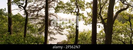 Panorama am Ufer des Derwentwater im Lake District Stockfoto