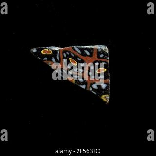 Fragment eines Gefäßes. Eine niedrige Krümmung des Glassfragmentes ermöglicht die Zuordnung zu einem Gefäß, möglicherweise einer Schale. Auf einem roten Grund können mehrere Blumen in millefiori Technologie gesehen werden. Zu einem roten Kern mit gelber Kontur legen als Blütenblätter weiße Punkte mit schwarzer Kontur. Für die Herstellung wurden verschiedenfarbige Gläser zu Rohren und Stäben geformt. Diese wurden komprimiert und erhitzt, was zu einem langen Balken führte. Die Glasscheiben hatten verschiedene amorphe oder florale Muster. ​​now Danach wurden mehrere dieser Thrombozyten gefaltet, wieder erhitzt und in eine Gefäßform gepresst. Burry für die aufwendige Fertigung Stockfoto