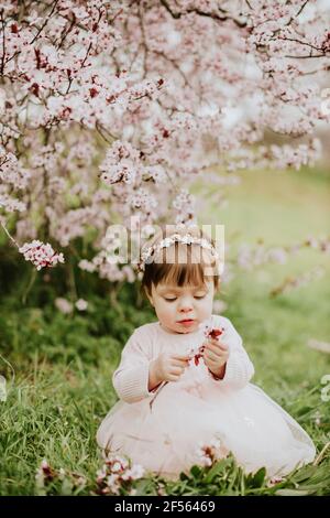 Baby Mädchen sitzt auf Gras in der Nähe von Kirschbaum im Frühling Stockfoto