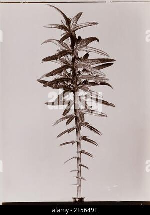 Werksstudie. . Stockfoto