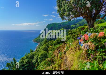 Aussichtspunkt Ponta do Sossego, Sao Miguel Island, Azoren, Portugal. Blick auf Blumen auf einem Berg und das Meer in Miradouro da Ponta do Sossego Nordeste Stockfoto