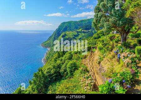 Aussichtspunkt Ponta do Sossego, Sao Miguel Island, Azoren, Portugal. Blick auf Blumen auf einem Berg und das Meer in Miradouro da Ponta do Sossego Nordeste Stockfoto