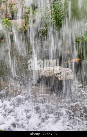 Vertikale Ansicht von Blick durch einen Wasserfall, während das Wasser in den Bach spritzt, während Fische das tanzende Wasser beobachten. Stockfoto