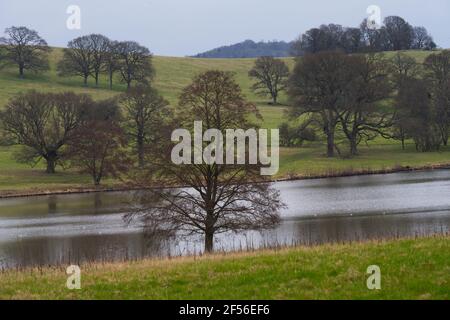 Wunderschöne Bäume liegen an einem See in der Nähe von Wadhurst, Südostengland, im sehr frühen Frühjahr Stockfoto