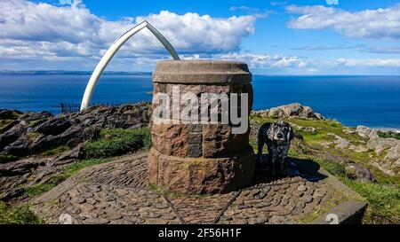 Top of North Berwick Law, mit Cocker Spaniel Hund neben Aussichtspunkt stehen Stockfoto