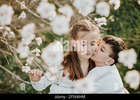 Bruder küsst sich, während er die Schwester am Mandelbaum umarmt Stockfoto