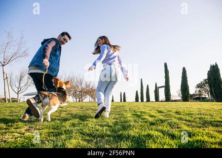 Mann und Frau mit mittlerem Erwachsenenalter laufen beim Spielen mit Hund Im Park Stockfoto