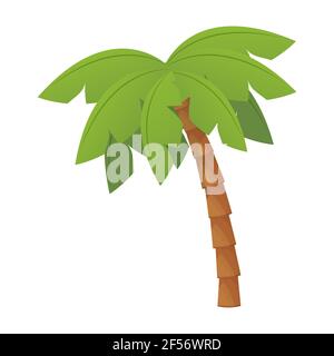 Palme mit Laub in Cartoon-Stil isoliert auf weißem Hintergrund Stock Vektor-Illustration. Wild Beach tropische Pflanze, Holz trank. . Vektorgrafik Stock Vektor