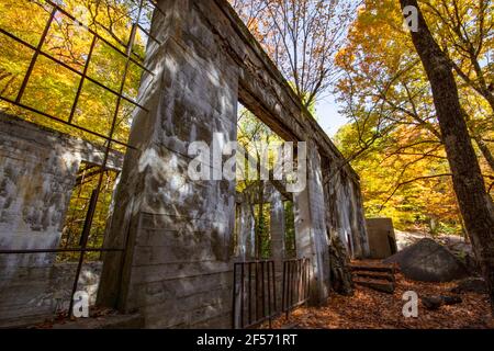 Überreste einer Erfinderwerkstatt im Wald Stockfoto