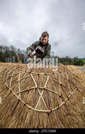 Master Thatcher, Adam Nash Professional Roof thatcher passt 'Hazel Spars', um Mantelarbeit und Stroh auf dem Dach eines ummauerten Gartens, Wiltshire, England, zu befestigen. Stockfoto