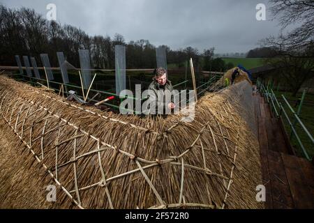 Master Thatcher, Adam Nash Professional Roof thatcher passt 'Hazel Spars', um Mantelarbeit und Stroh auf dem Dach eines ummauerten Gartens, Wiltshire, England, zu befestigen. Stockfoto