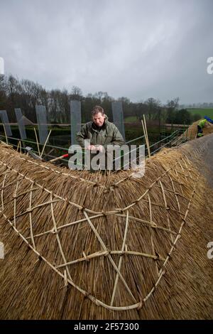 Master Thatcher, Adam Nash Professional Roof thatcher passt 'Hazel Spars', um Mantelarbeit und Stroh auf dem Dach eines ummauerten Gartens, Wiltshire, England, zu befestigen. Stockfoto