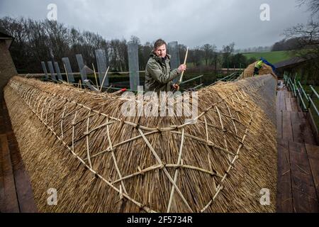 Master Thatcher, Adam Nash Professional Roof thatcher passt 'Hazel Spars', um Mantelarbeit und Stroh auf dem Dach eines ummauerten Gartens, Wiltshire, England, zu befestigen. Stockfoto