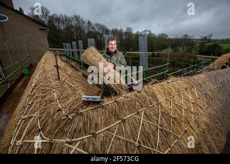 Master Thatcher, Adam Nash Professional Roof thatcher passt 'Hazel Spars', um Mantelarbeit und Stroh auf dem Dach eines ummauerten Gartens, Wiltshire, England, zu befestigen. Stockfoto