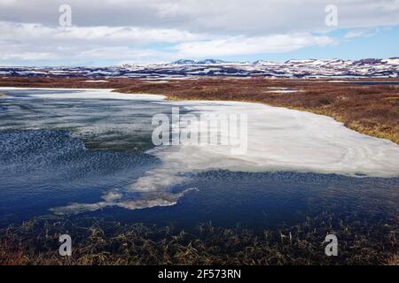 Gefrorener See mit schneebedeckten BergenSee Myvatn Island LA008933 Stockfoto