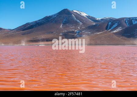 Rotes Wasser des Sees Laguna Colorada, Uyuni, Bolivien. Stockfoto