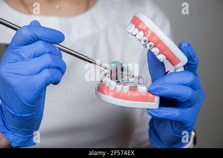 Ein hygienischer Arzt zeigt auf einem Kiefermodell wie Zähne Und Mundhöhle werden mit einem Zahnspiegel untersucht Stockfoto