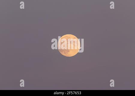 Ein Vollmond in einem lila Himmel wie die Sonne Im Sommer Stockfoto