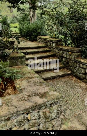 Steintreppen in der formalen Graden bei Greenwood Gardens in Millburn, NJ, USA Stockfoto