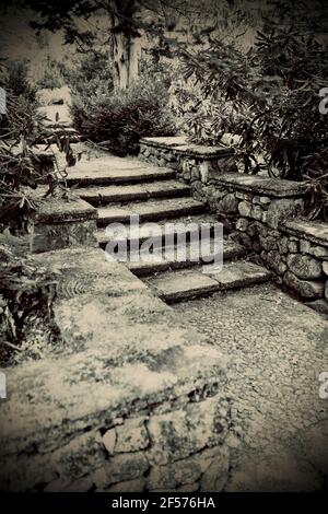 Steintreppen in der formalen Graden bei Greenwood Gardens in Millburn, NJ, USA Stockfoto