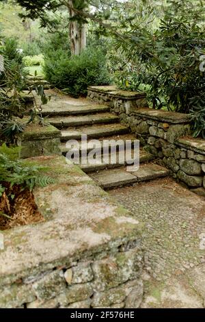 Steintreppen in der formalen Graden bei Greenwood Gardens in Millburn, NJ, USA Stockfoto