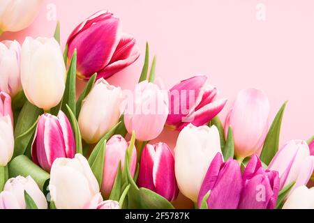 Bouquet von weißen und rosa Tulpen auf einem rosa Hintergrund. Muttertag, Valentinstag, Geburtstagsfeier Konzept. Draufsicht, Kopierbereich für Text. Stockfoto