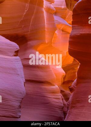 Sandsteinwände des unteren Antilopenschluckens in der Nähe von Page, arizona Stockfoto