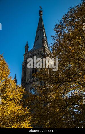 Herbstfarben Sträucher mit hellen Blättern und Holzbank in einem Stadtpark. Weiße Blumen im Vordergrund. Stockfoto