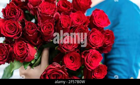 Luxuriöser Strauß roter Rosen aus nächster Nähe. Das Mädchen hält einen großen Blumenstrauß in den Händen. Harmonische Kombination von blauen und roten Farben. G Stockfoto