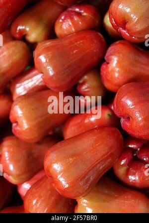 Closeup Heap von lebhaftem roten wachsartigen Haut wässrigen RosenApfel Obst zum Verkauf auf dem Markt Stockfoto