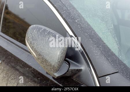 Gefalteter Rückspiegel mit einer trockenen Schicht bedeckt Schlamm zu einem schwarzen schmutzigen Auto mit Blinkern an Die Außenspiegelgehäuse Nahaufnahme des Fahrzeugs exte Stockfoto