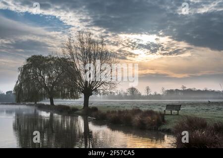 Die Wunder der Natur sind so schön an einem frühen nebligen Morgen im Bushy Park. Wenn ich auf öffentlichem oder privatem Grundstück bin, bin ich bereit, volle Respons zu nehmen Stockfoto