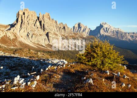 Morgens Panoramablick auf Cima Ambrizzola, Croda da Lago und Le Tofane Gruppe, Alpen Dolomiten Berge, Italien Stockfoto