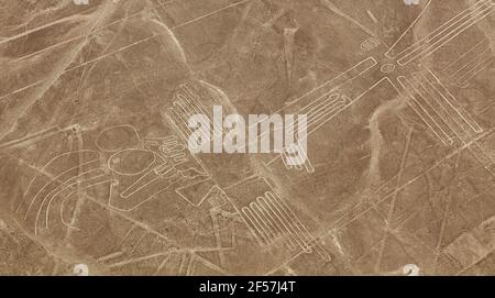 pelican geoglyph, Nazca oder Nasca geheimnisvolle Linien und Geoglyphen Luftaufnahme Sepia farbig, Wahrzeichen in Peru Stockfoto