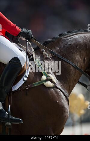 Nahaufnahme des Reiters zeigen Jumper Reiter Position nah beschnitten Zeigt Reiter Beinposition geflochtene Mähne von Lorbeer englisch Im Wettbewerbsring anschlagen Stockfoto