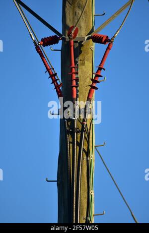 Detail von hölzernen elektrischen Pfosten mit dreiphasigen isolierten Kabeln, die zur Erde herabkommen. Stockfoto