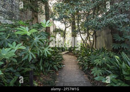 Narrow Gateway Arch historische Gasse in der Innenstadt von Charleston, South Carolina Stockfoto