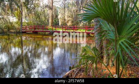 Küstenwald von Carolina mit roter Wanderbrücke in Magnolia Gardens in Charleston, South Carolina Stockfoto